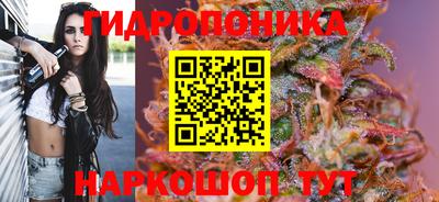 ГАЛЛЮЦИНОГЕННЫЕ ГРИБЫ Сланцы