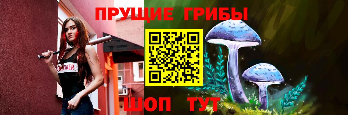 Галлюциногенные грибы Psilocybine cubensis Павловский Посад